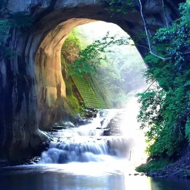 独狼逃跑